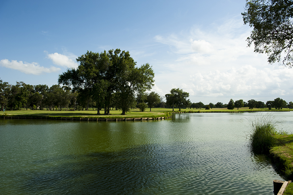 Gallery Bay Forest Golf Course